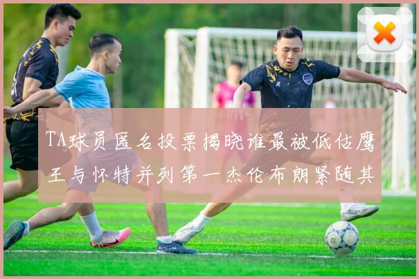 TA球员匿名投票揭晓谁最被低估鹰王与怀特并列第一杰伦布朗紧随其后