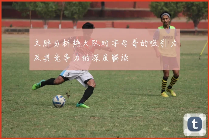 文胖分析热火队对字母哥的吸引力及其竞争力的深度解读